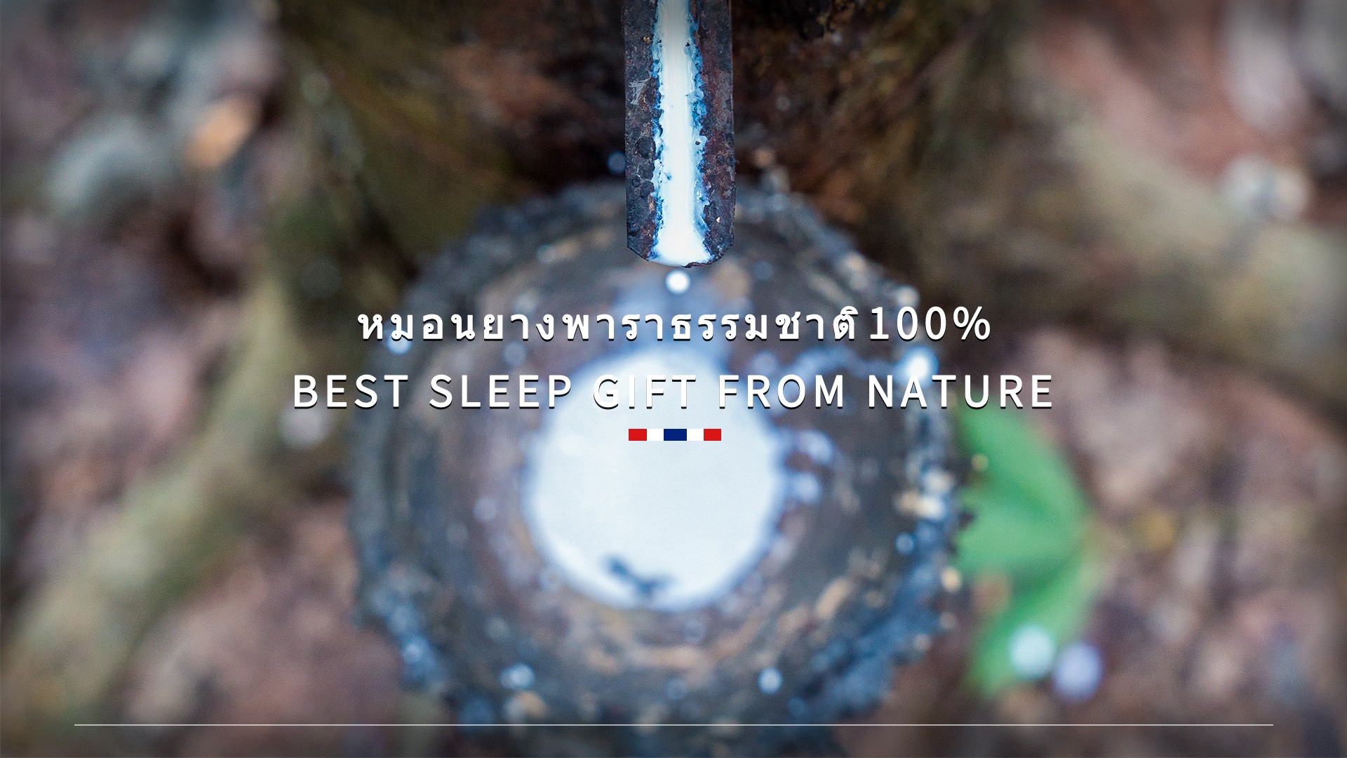 室内设计郭大师复古设计