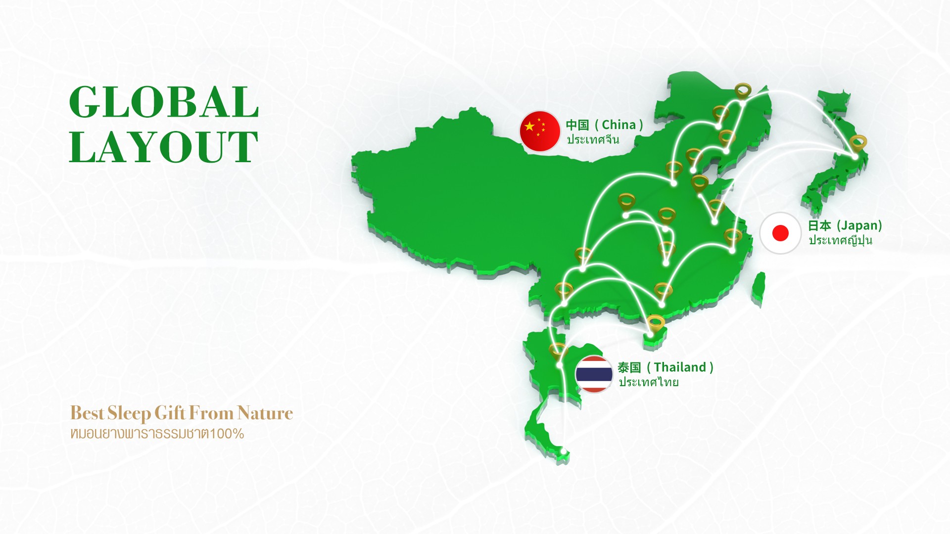 四季如一舒心享