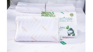 อาการปวดปากมดลูก | หมอนยางพาราสูงและต่ำนอนหลับได้ลำบาก