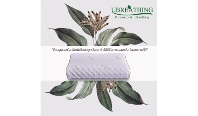 UZ1标准高低颗粒枕