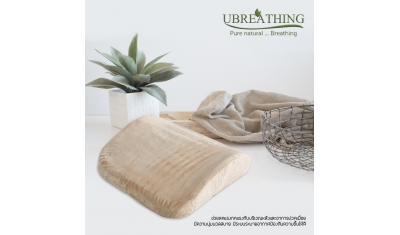 UZ15腰靠（多色）