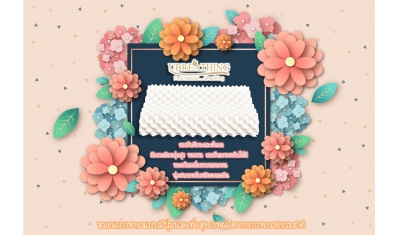 UZ19 หมอนเม็ดเด็กใหญ่