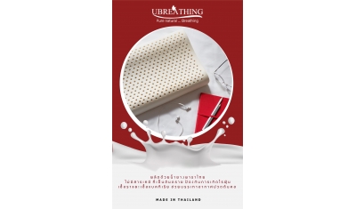 uz17 คู่หมอน