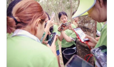 Tuánduì 2/5000 ทีม