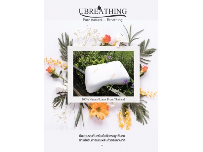 UZ4 Standard Beauty Parallel Pillow