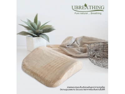 UZ15 ที่รองรับหลังเอว