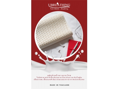 uz17 คู่หมอน