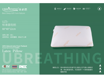 UZ5标准面包枕