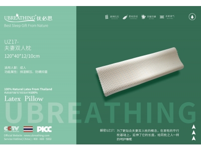 UZ17夫妻双人枕