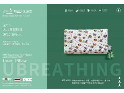 UZ19大儿童颗粒枕