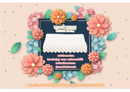 UZ19 หมอนเม็ดเด็กใหญ่