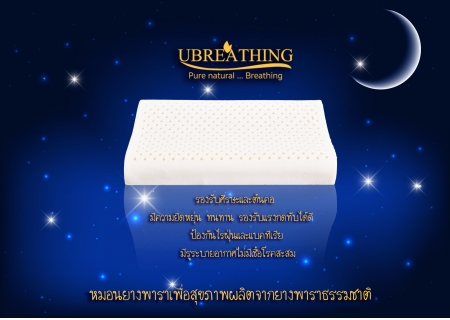 uz18 หมอนขนานแบบต่ำที่มีชั้นสูงชั้นต่ำ