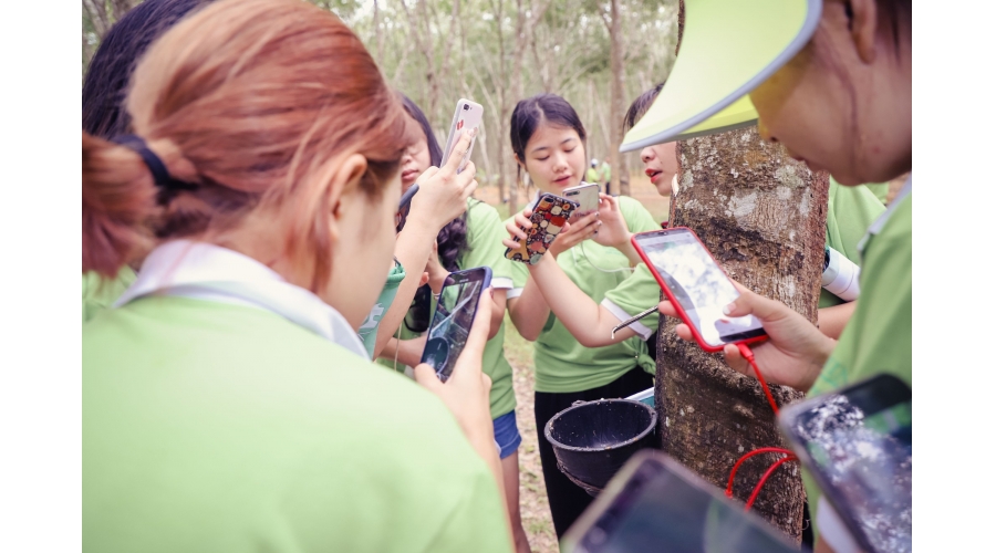 Tuánduì 2/5000 ทีม